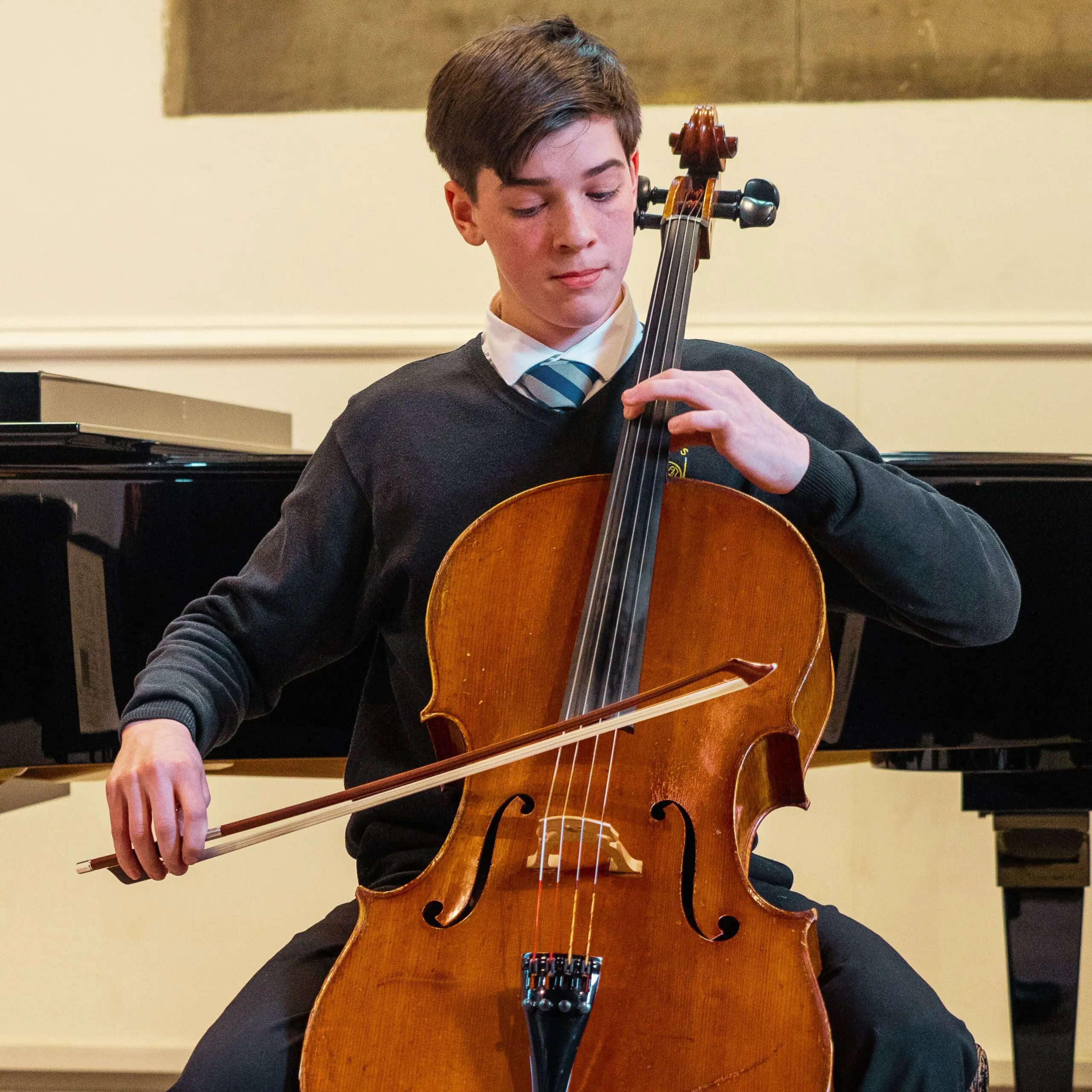  OptimizedImage,Optimized