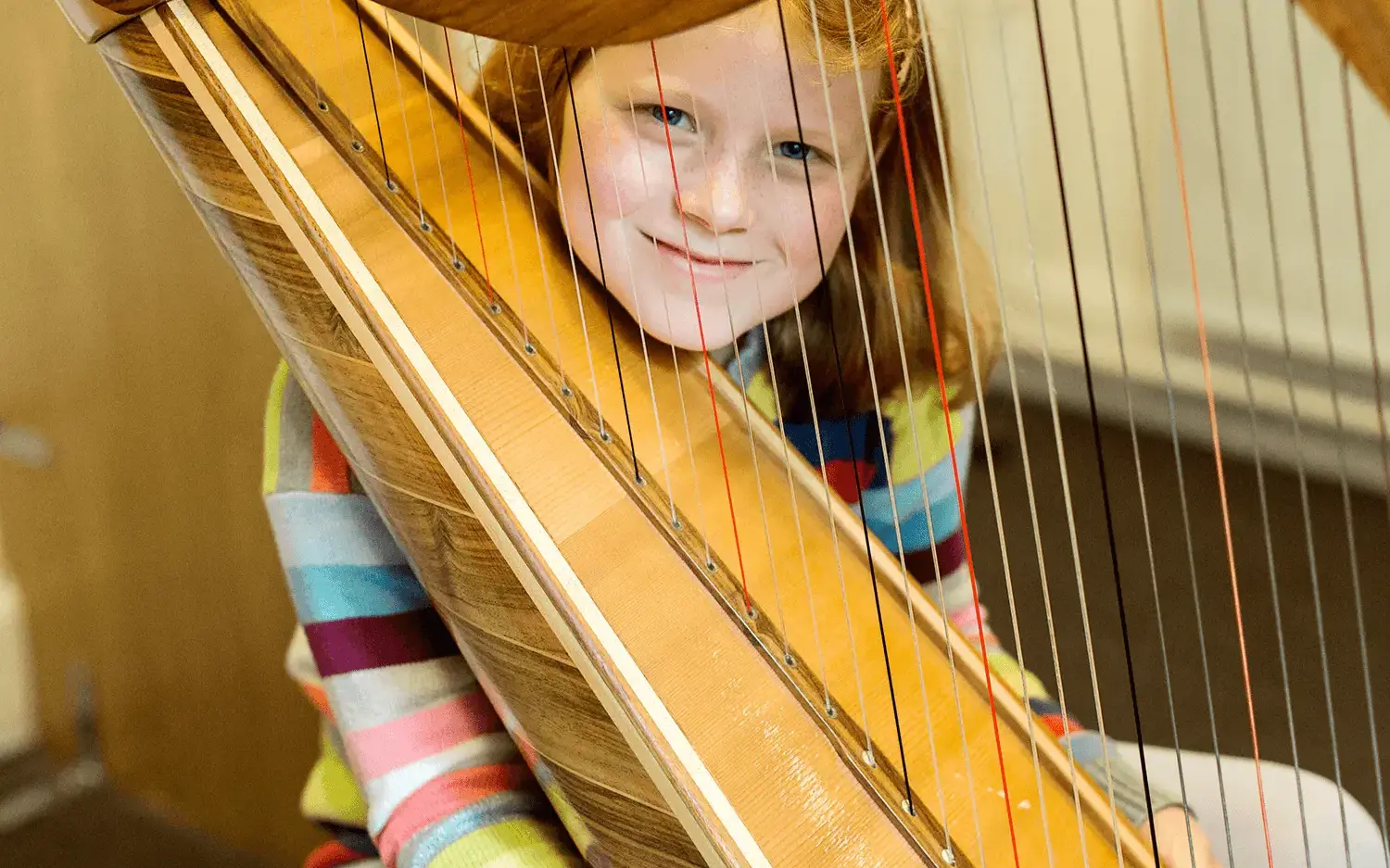Instrumental Lessons