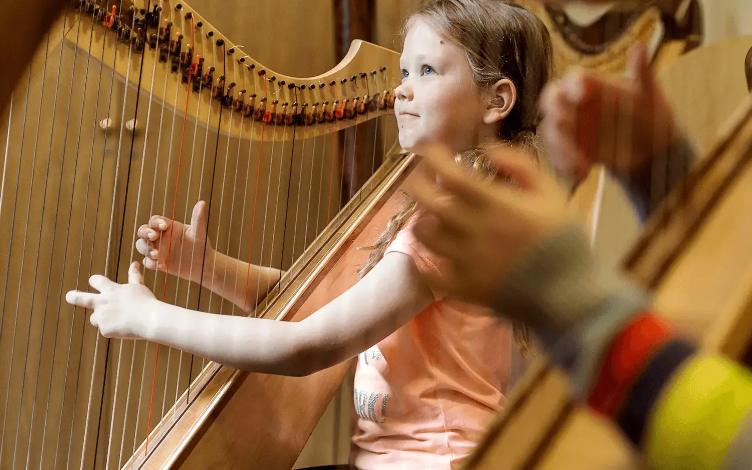 Year-by-Year Instrumental Programme