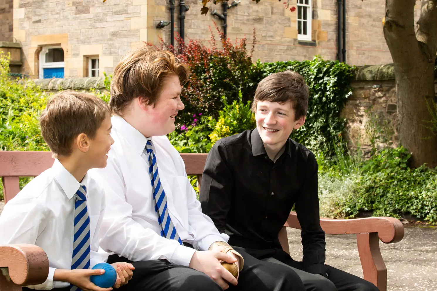 OptimizedImage,Optimized