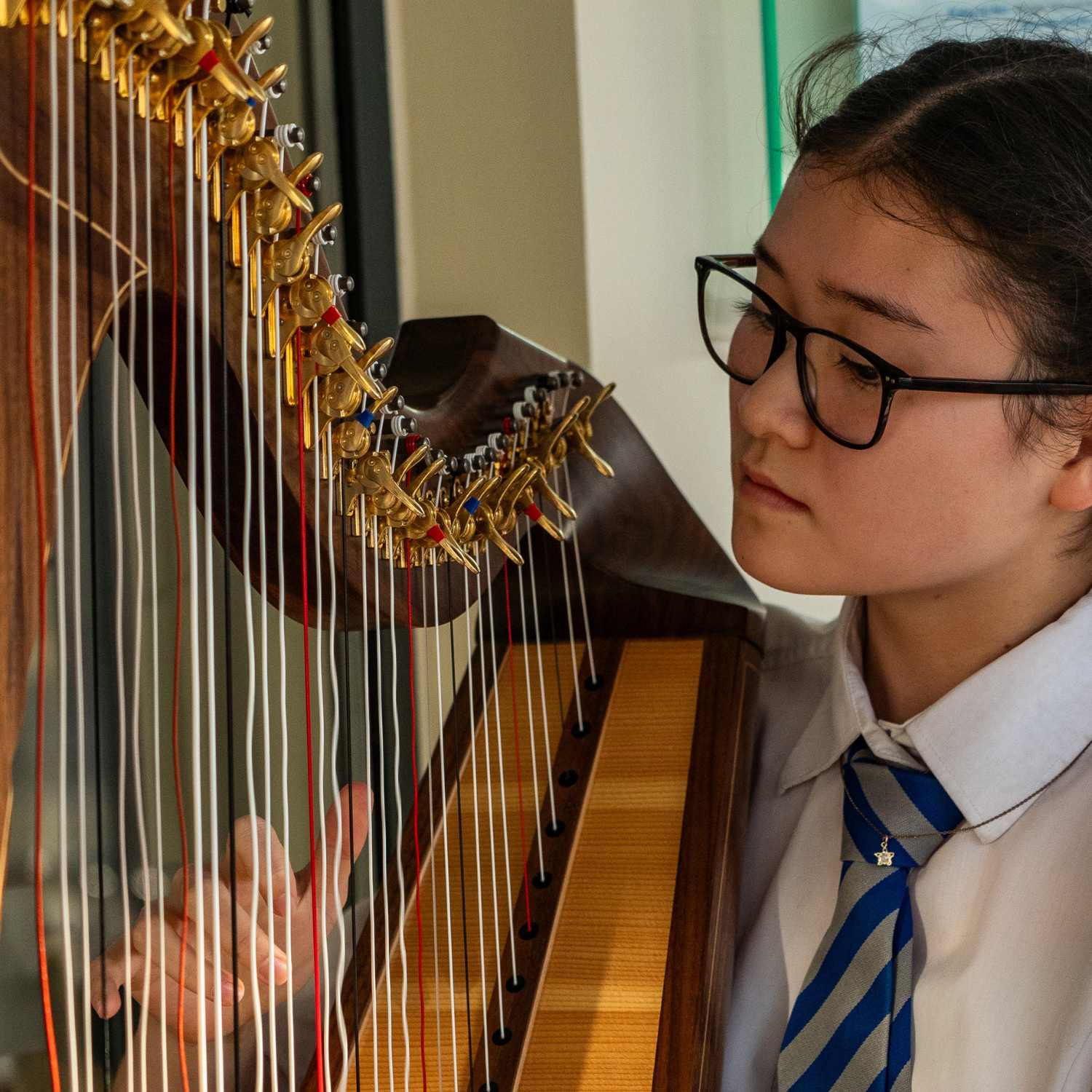 OriginalImage,,,Original