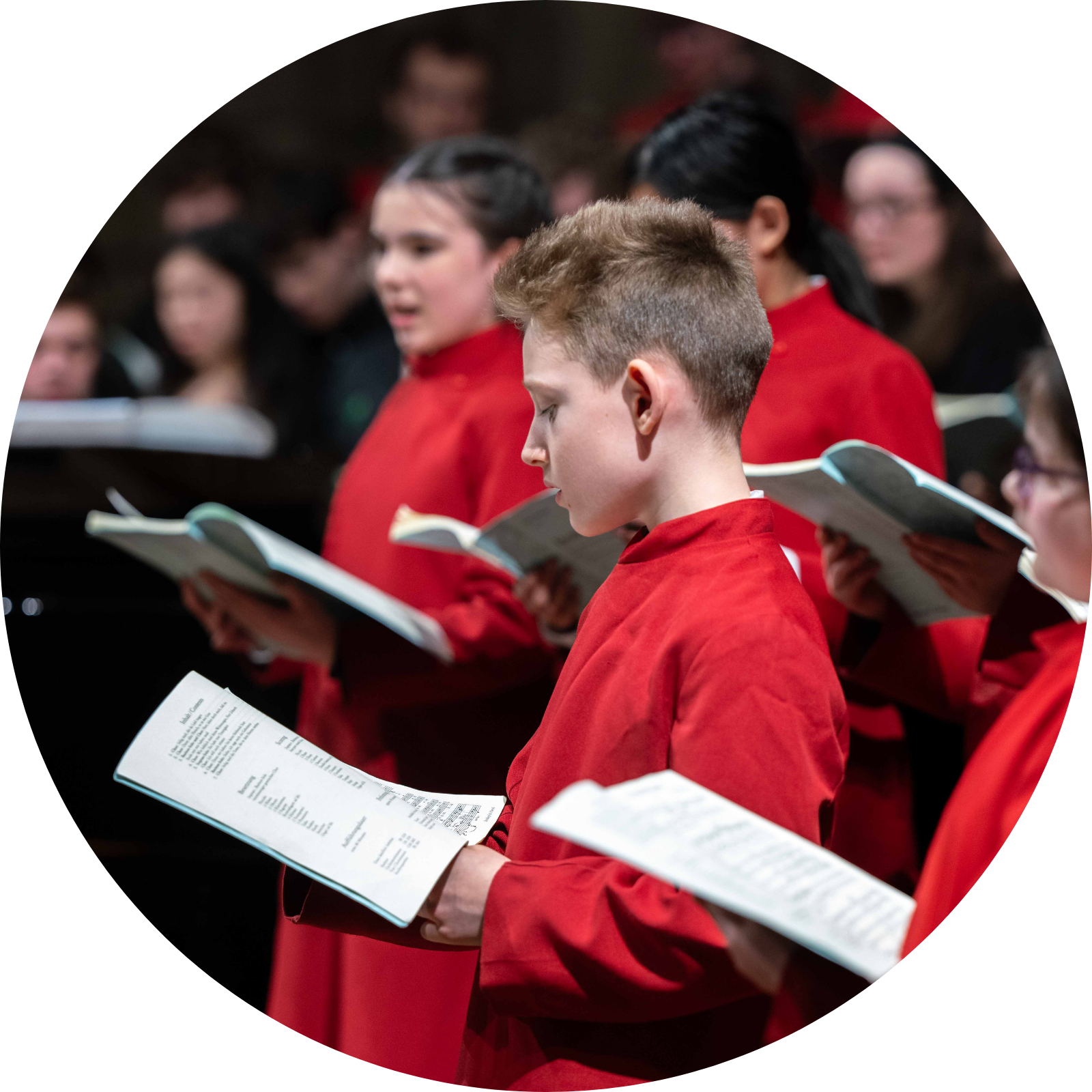 OriginalImage,,,Original