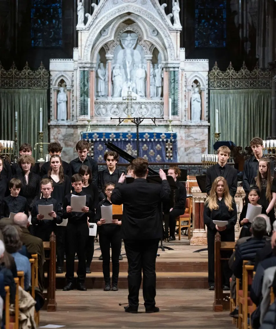  OptimizedImage,Optimized